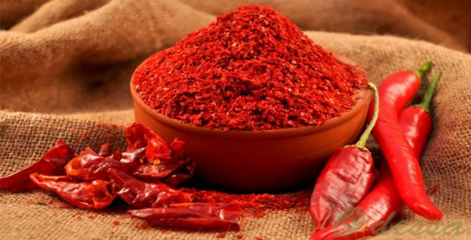 Pul bibəri çox istifadə etsəniz..