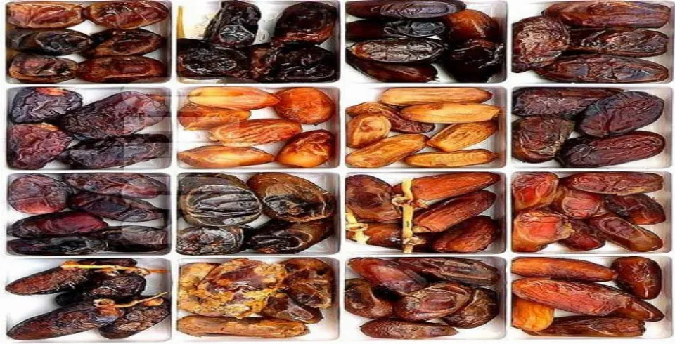 Gündə 5 ədəd xurma yesən..