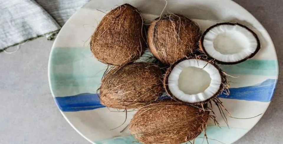 Kakos qurusunun faydaları