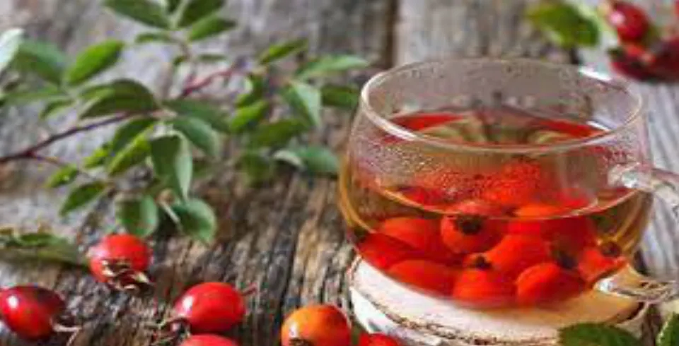 İtburnun faydaları