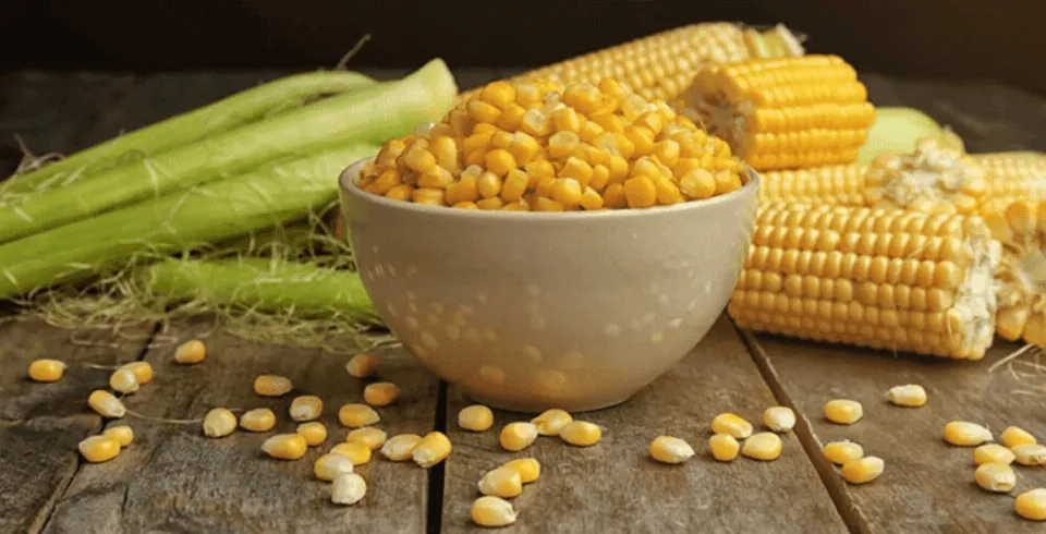 Qarğıdılanın faydaları