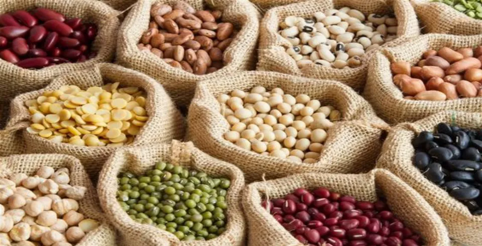 Ləpənin sağlam istifadəsi və faydaları