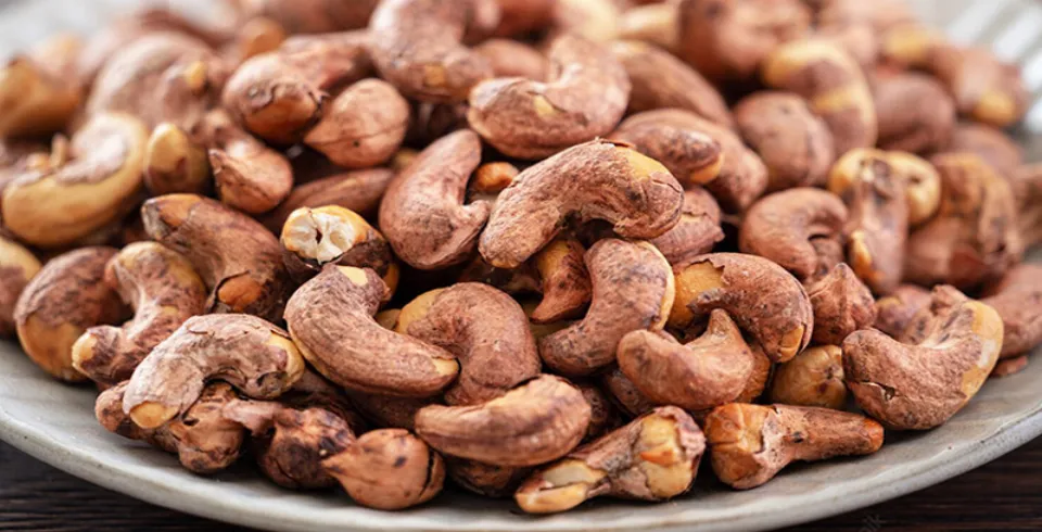 Kaju fıstığının vətəni buradır