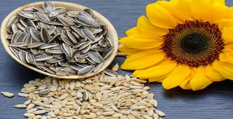 Özü kiçik, faydası böyük..